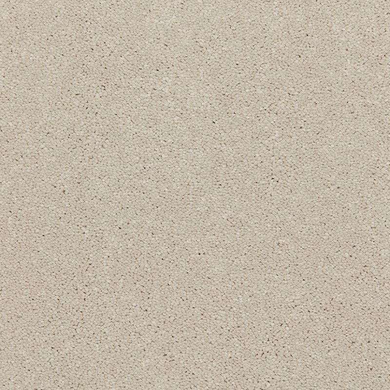 Dolomite Deep Pile Saxony Carpet - Dovedale