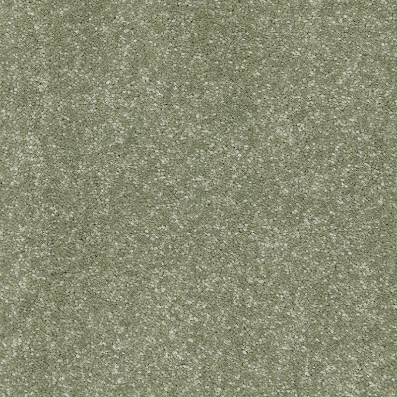 Dolomite Deep Pile Saxony Carpet - Everglade