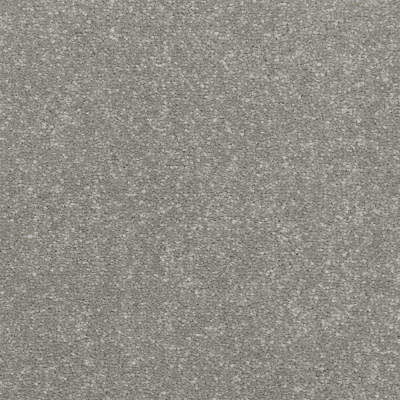 Dolomite Deep Pile Saxony Carpet - Pavestone