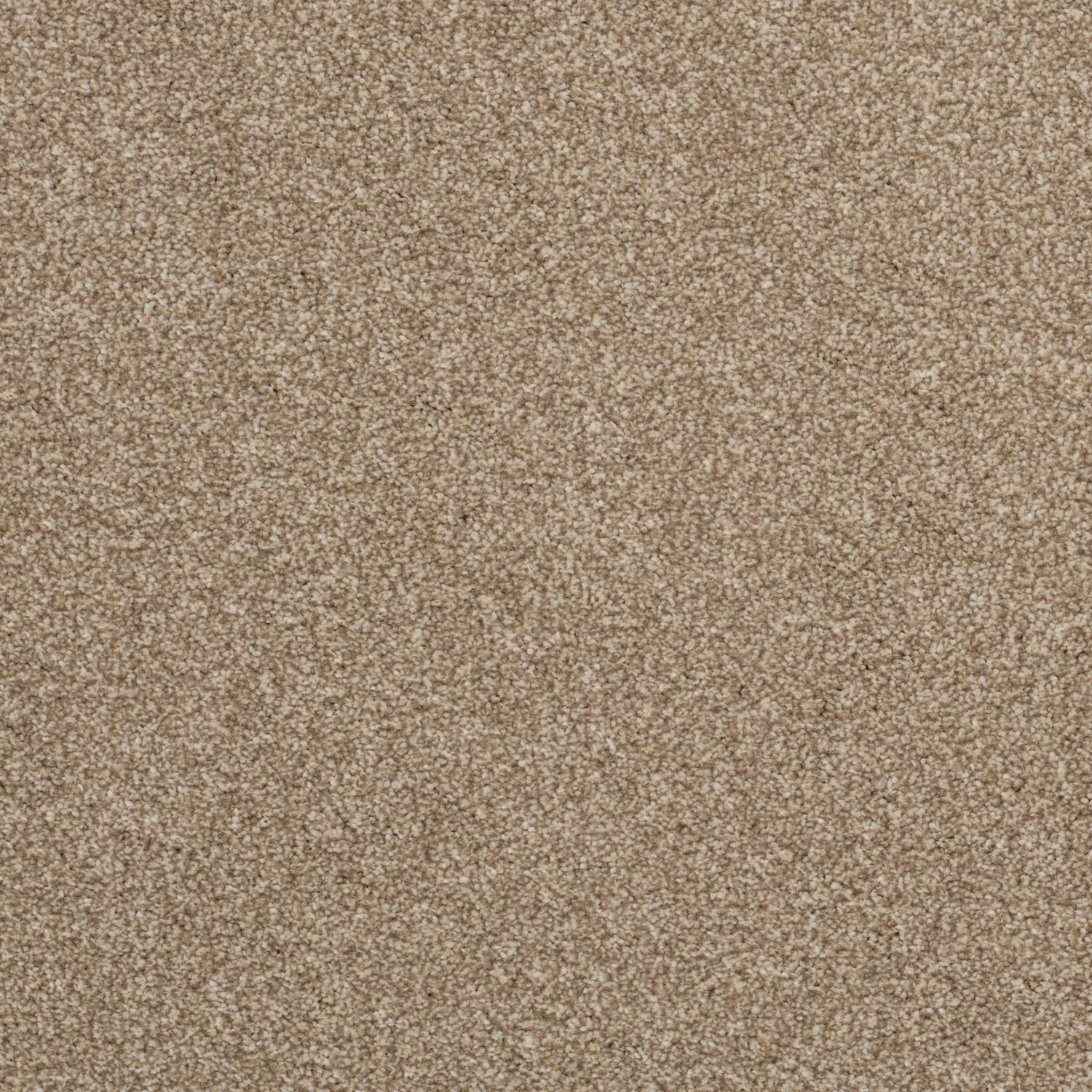 First Impressions Luxurious Twist Carpet - Fresh First Impressions Luxurious Twist Carpet - Fresh