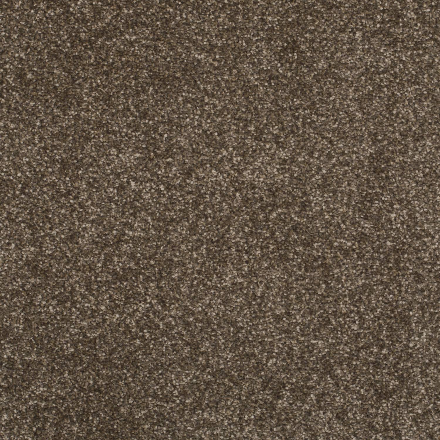 First Impressions Luxurious Twist Carpet - Down to Earth First Impressions Luxurious Twist Carpet - Down to Earth