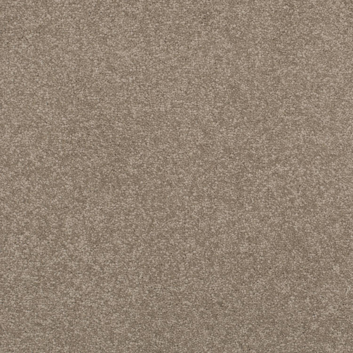 First Impressions Luxurious Twist Carpet - Stylish First Impressions Luxurious Twist Carpet - Stylish