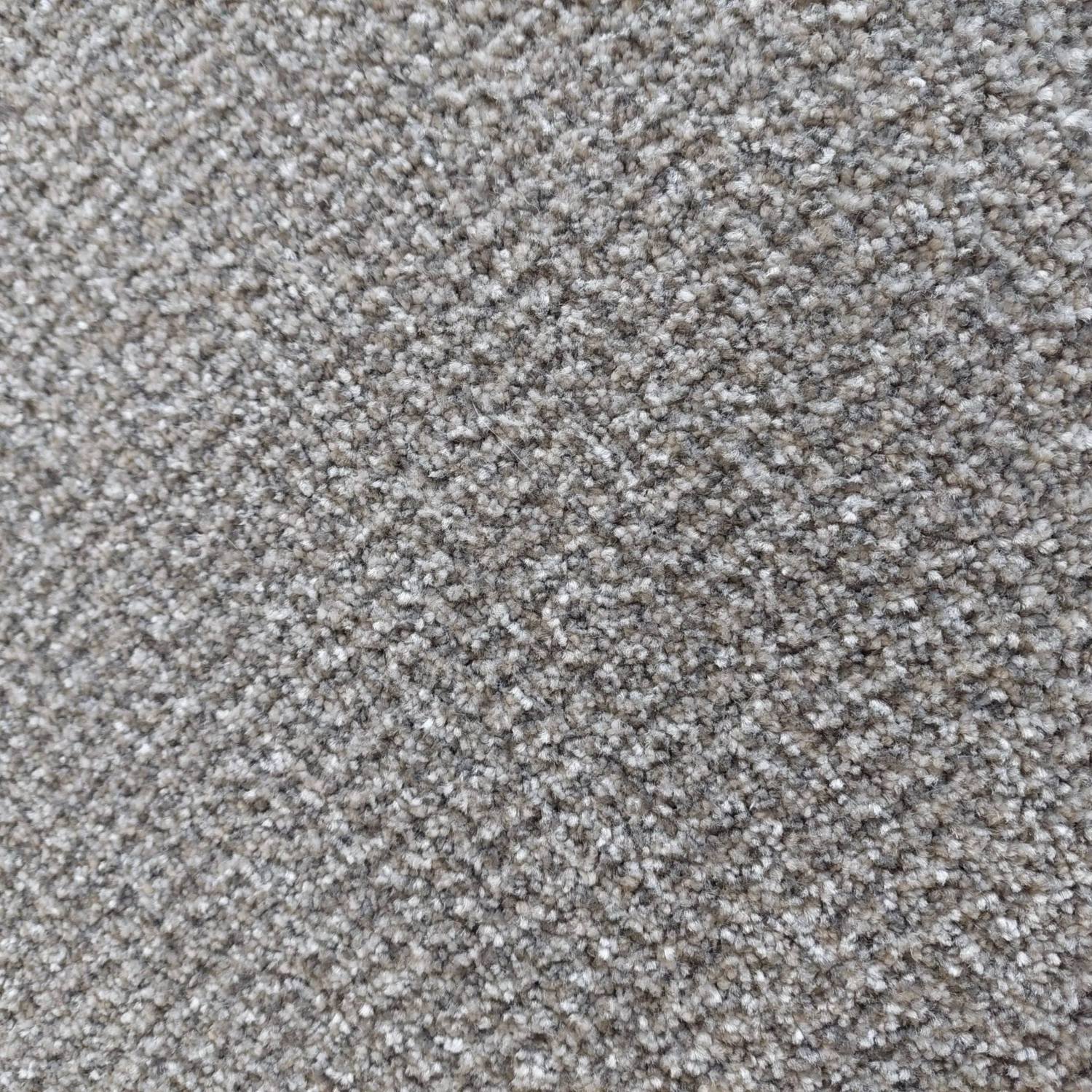 Icon Carpet - 76