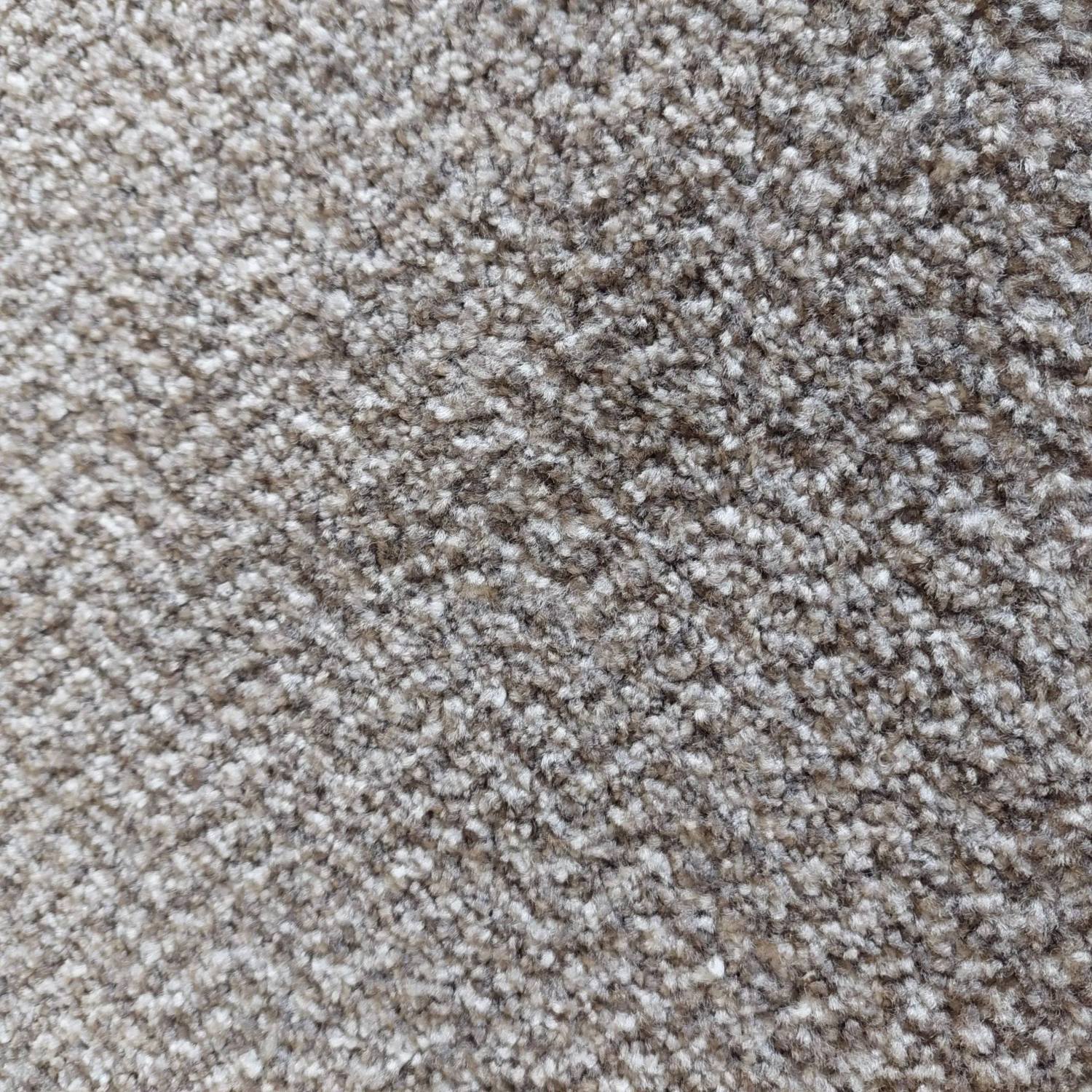 Icon Carpet - 92 Icon Carpet - 92