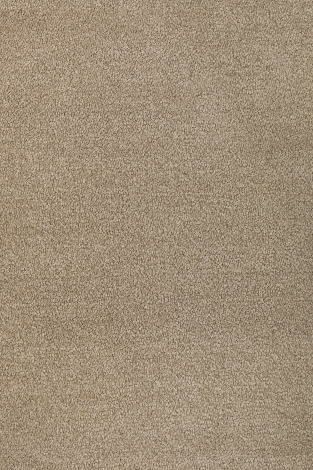 Septimus Twist Carpet - Baking Day 31 Septimus Twist Carpet - Baking Day 31