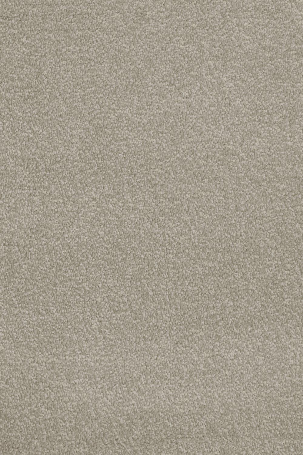 Septimus Twist Carpet - Stony Ground 33 Septimus Twist Carpet - Stony Ground 33
