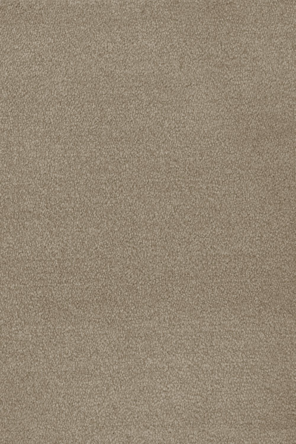 Septimus Twist Carpet - Sandy Steps 37