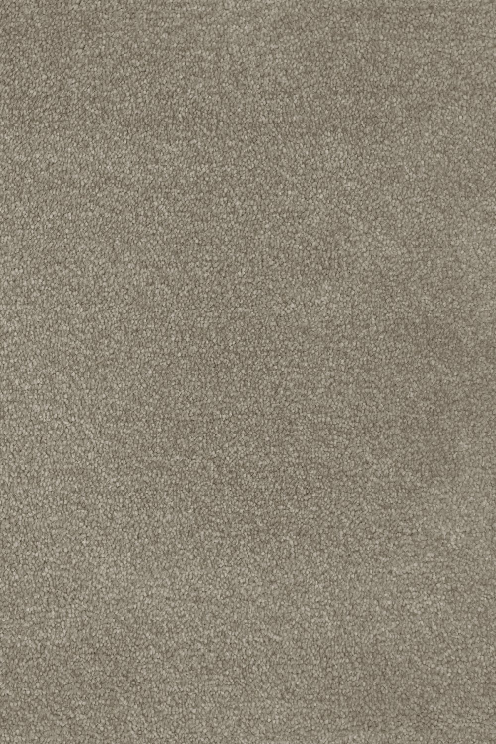 Septimus Twist Carpet - Portland Stone 38