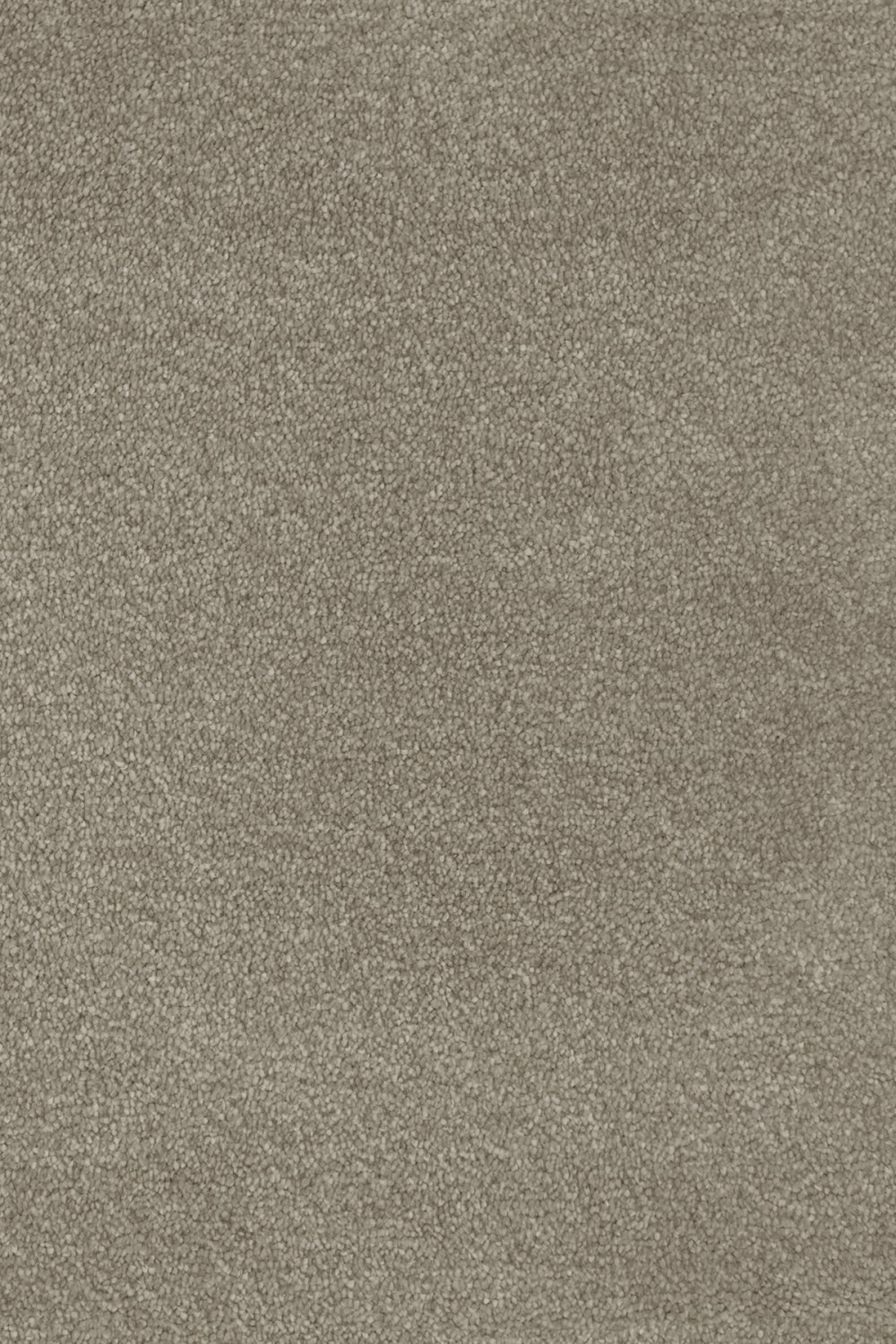 Septimus Twist Carpet - Portland Stone 38 Septimus Twist Carpet - Portland Stone 38