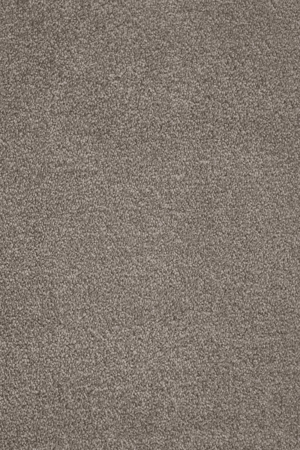 Septimus Twist Carpet - Pale Birch 40 Septimus Twist Carpet - Pale Birch 40