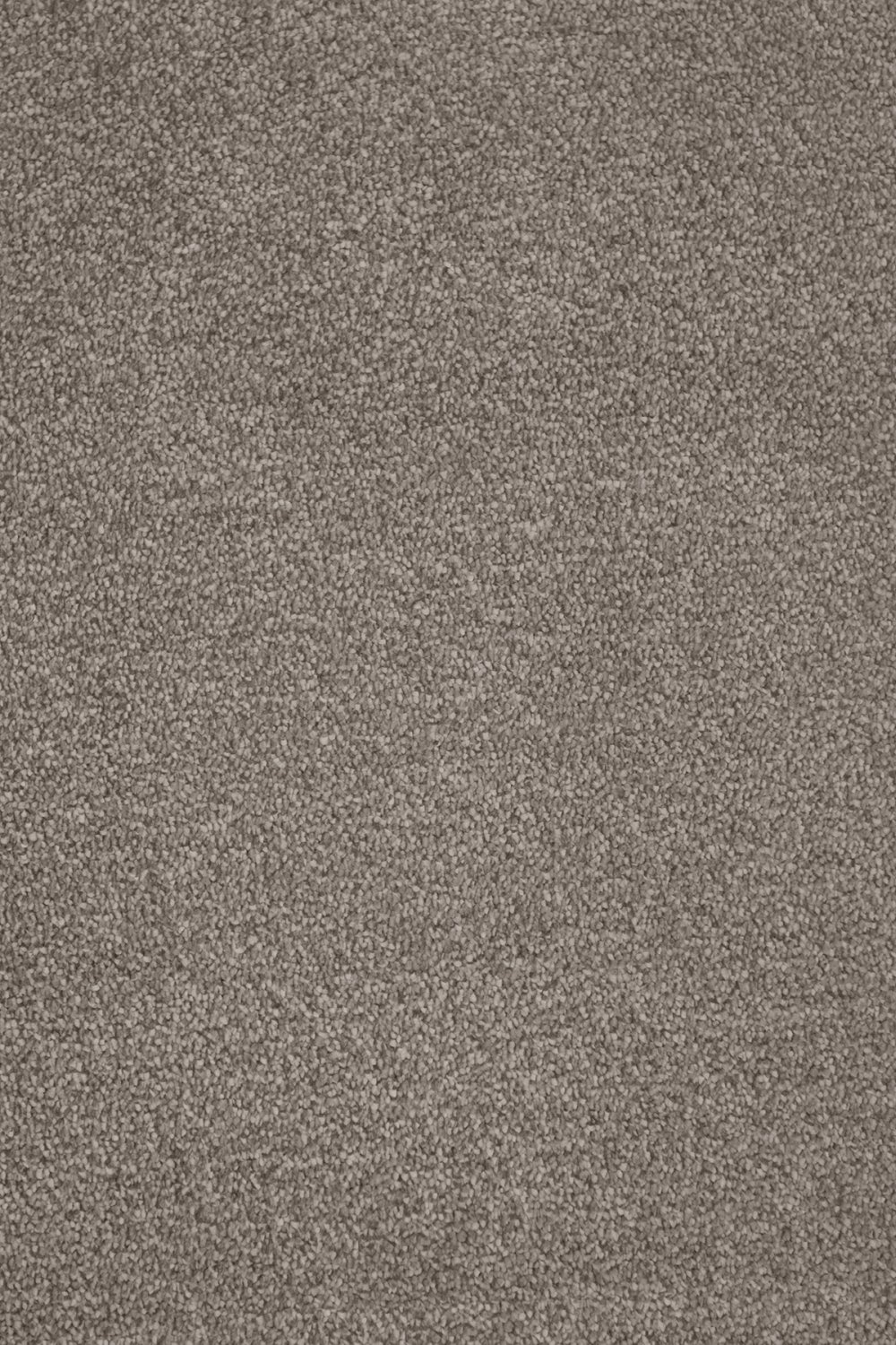 Septimus Twist Carpet - Pale Birch 40