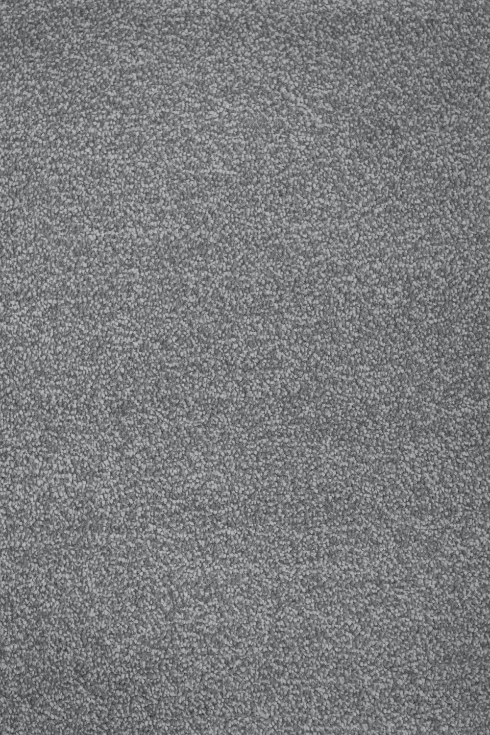 Septimus Twist Carpet - Smoke Grey 96 Septimus Twist Carpet - Smoke Grey 96