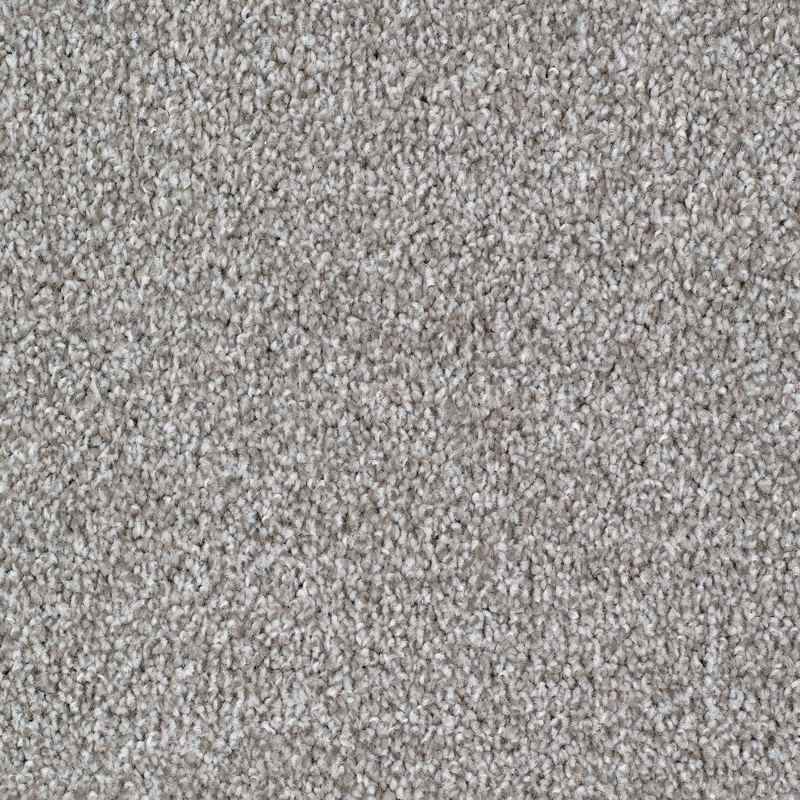 Seaford Soft Twist Carpet - Platinum