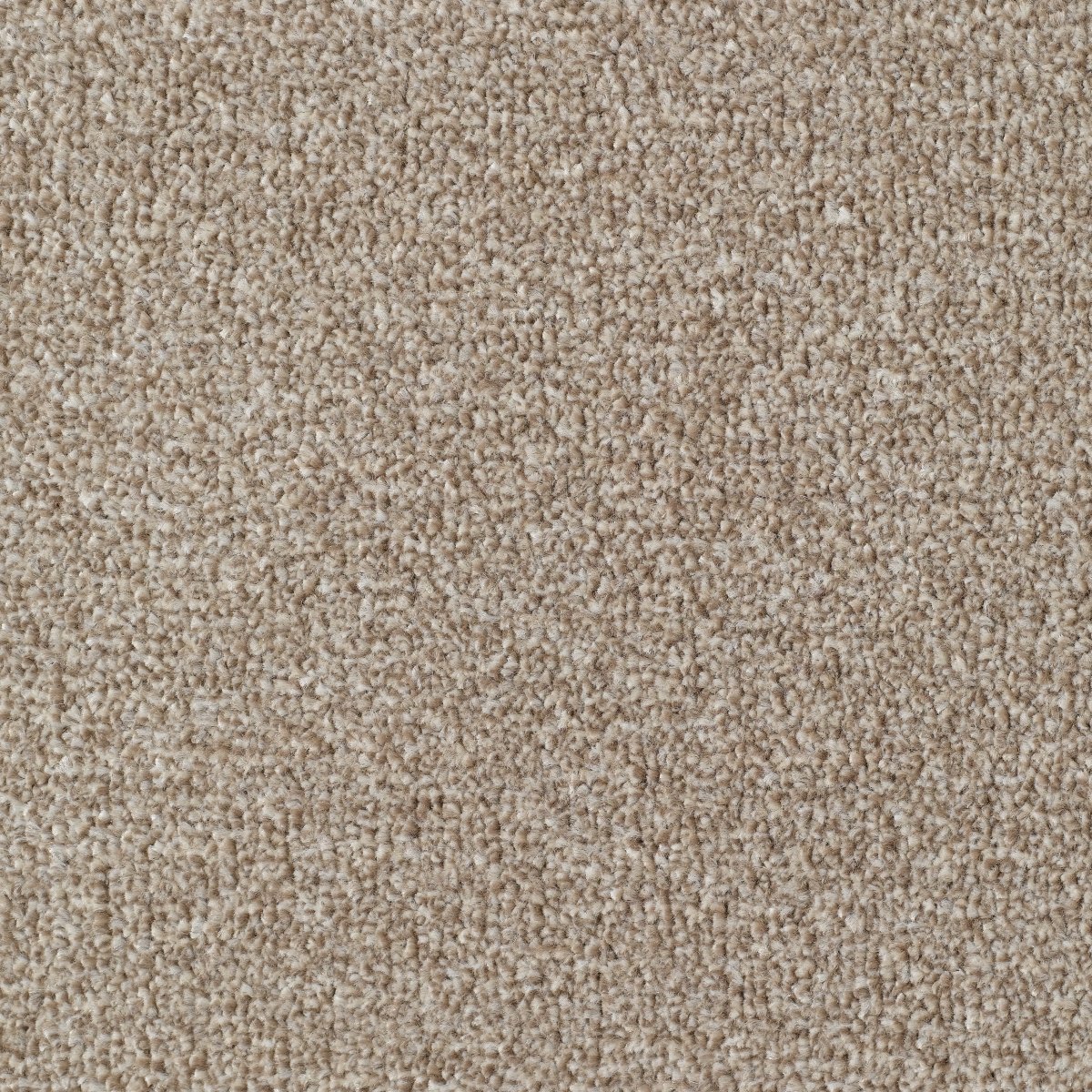 Seaton Valley Soft Deep Pile Saxony Carpet - Latte