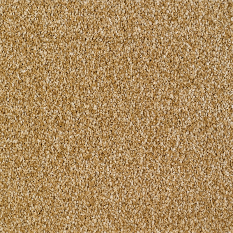 Sennen Twist Carpet - Gold