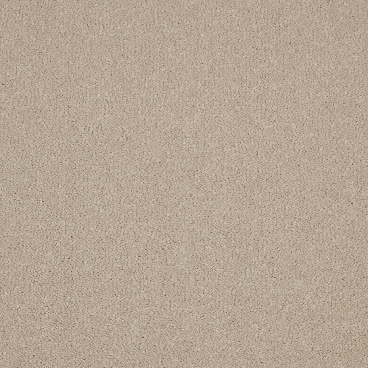 Serene Deep Pile Saxony Carpet - Fondant