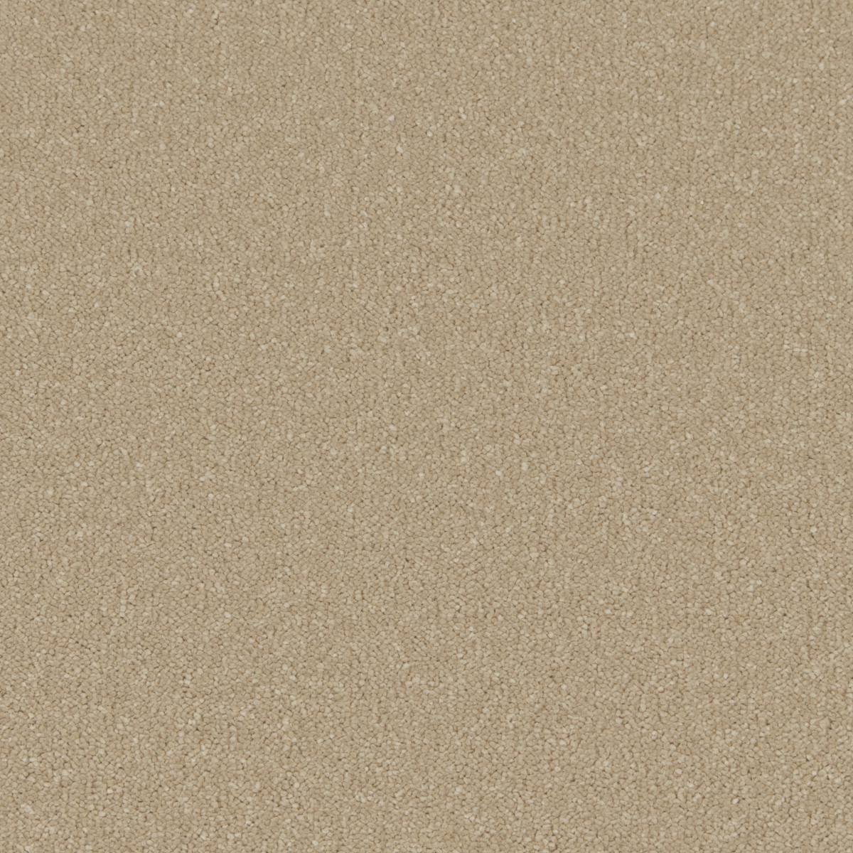 Serene Deep Pile Saxony Carpet - Ground Cumin
