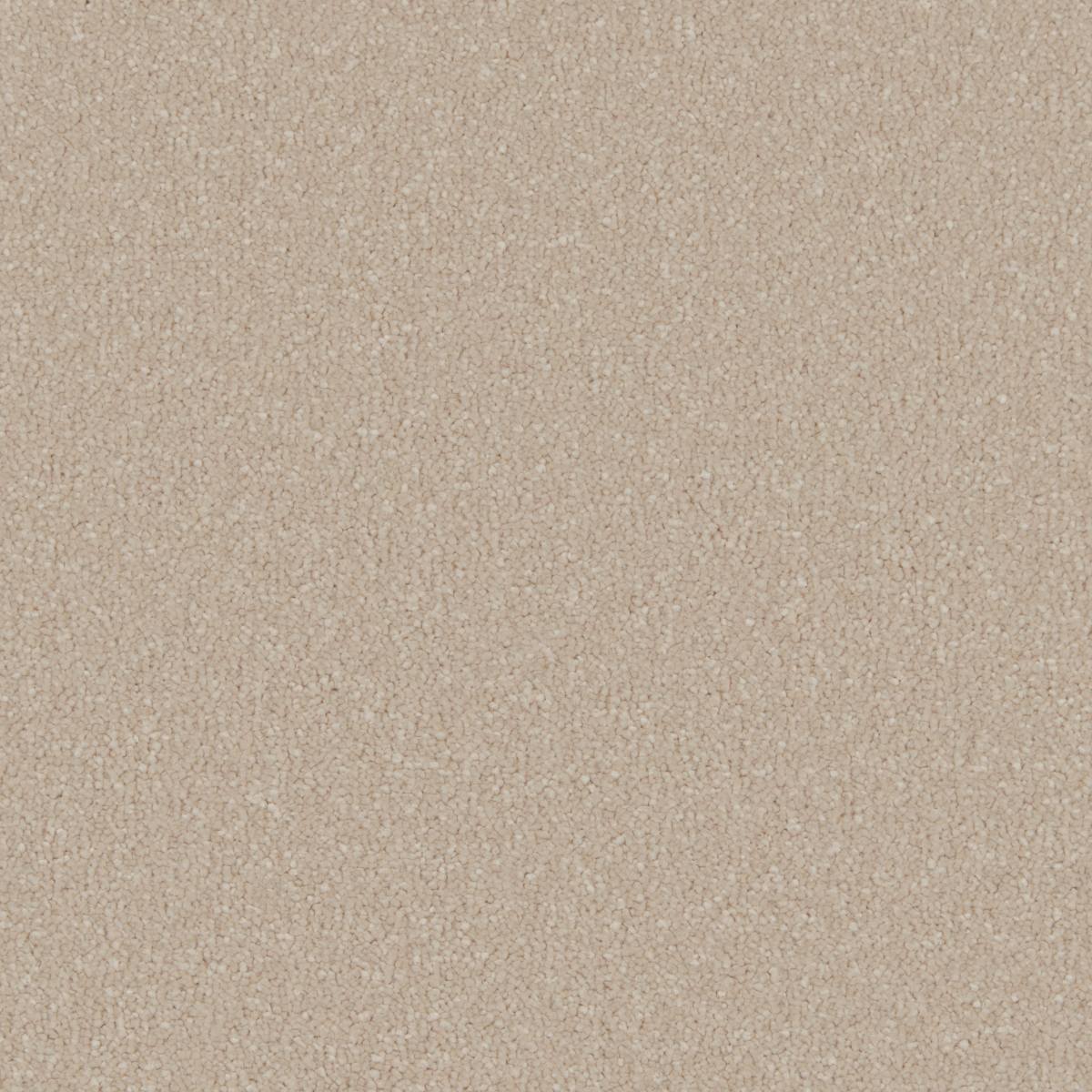Serene Deep Pile Saxony Carpet - Moonflower
