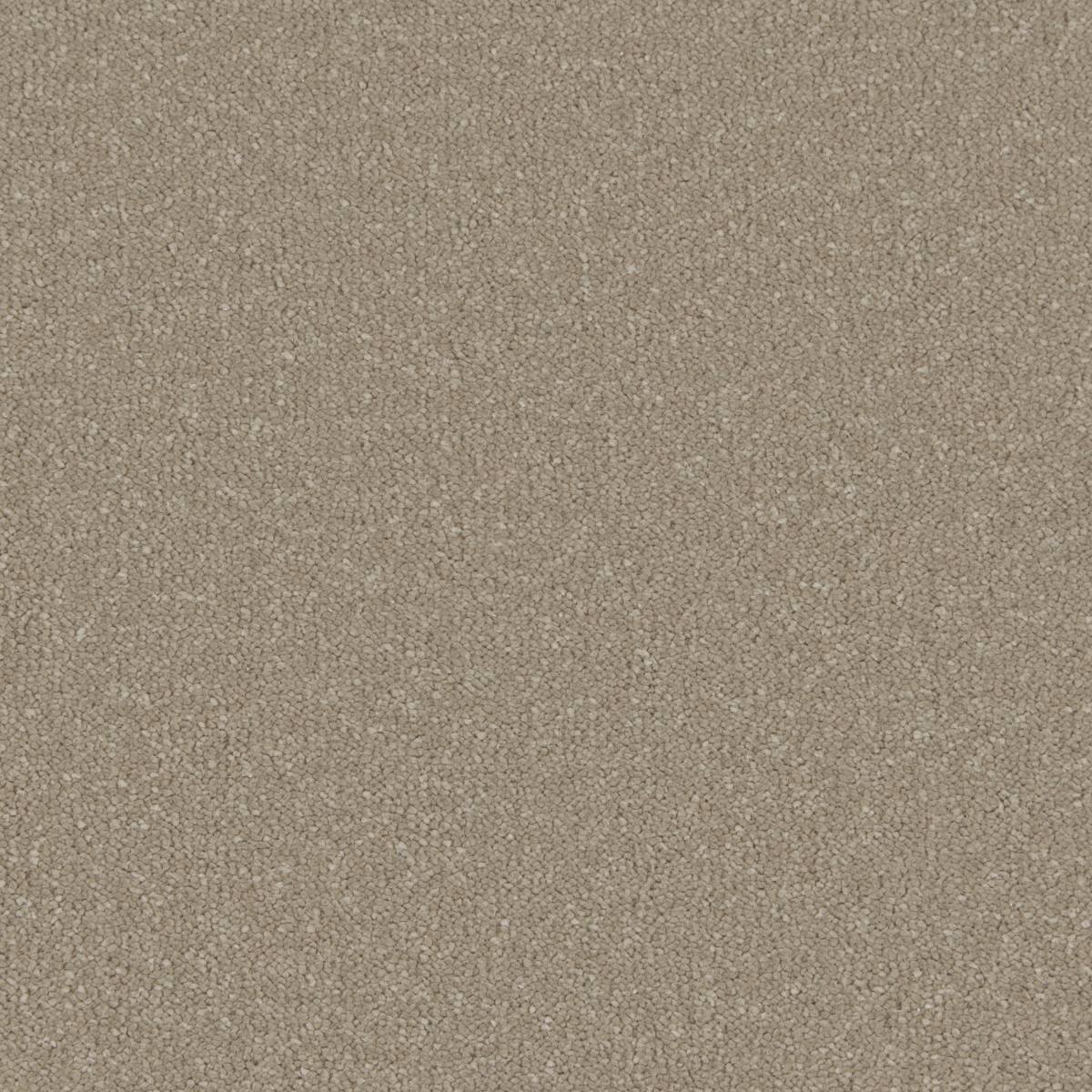 Serene Deep Pile Saxony Carpet - Organza