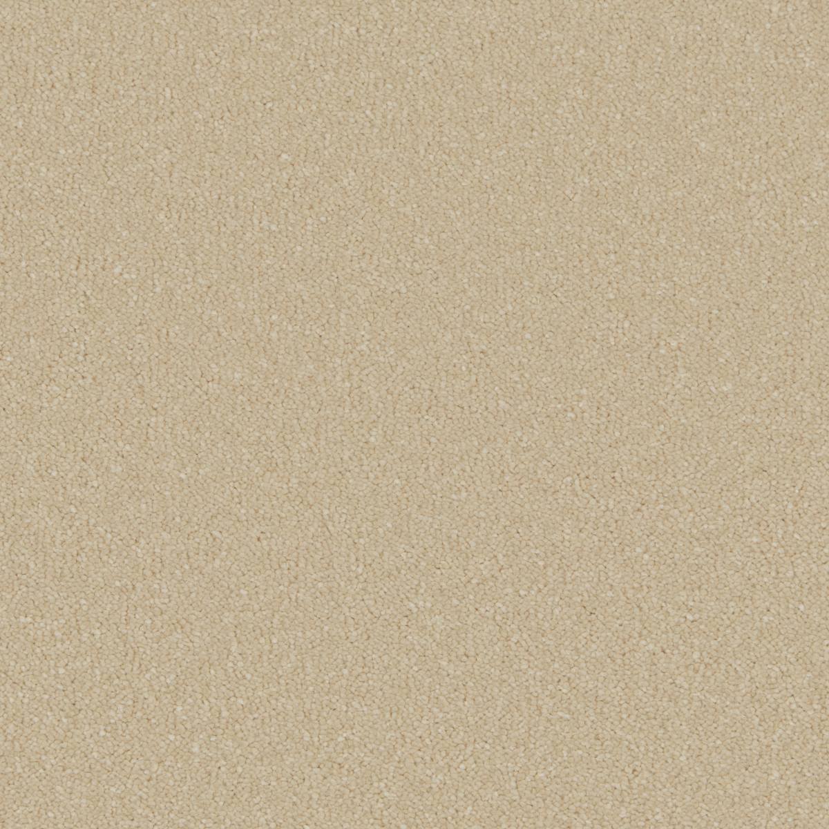 Serene Deep Pile Saxony Carpet - Sandpiper