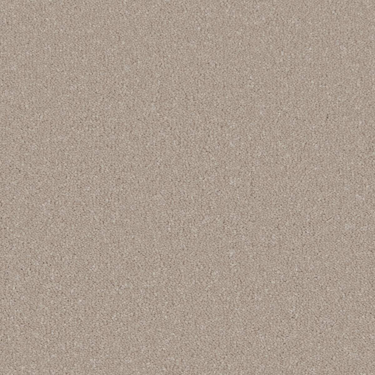 Serene Deep Pile Saxony Carpet - Sheltered Bay