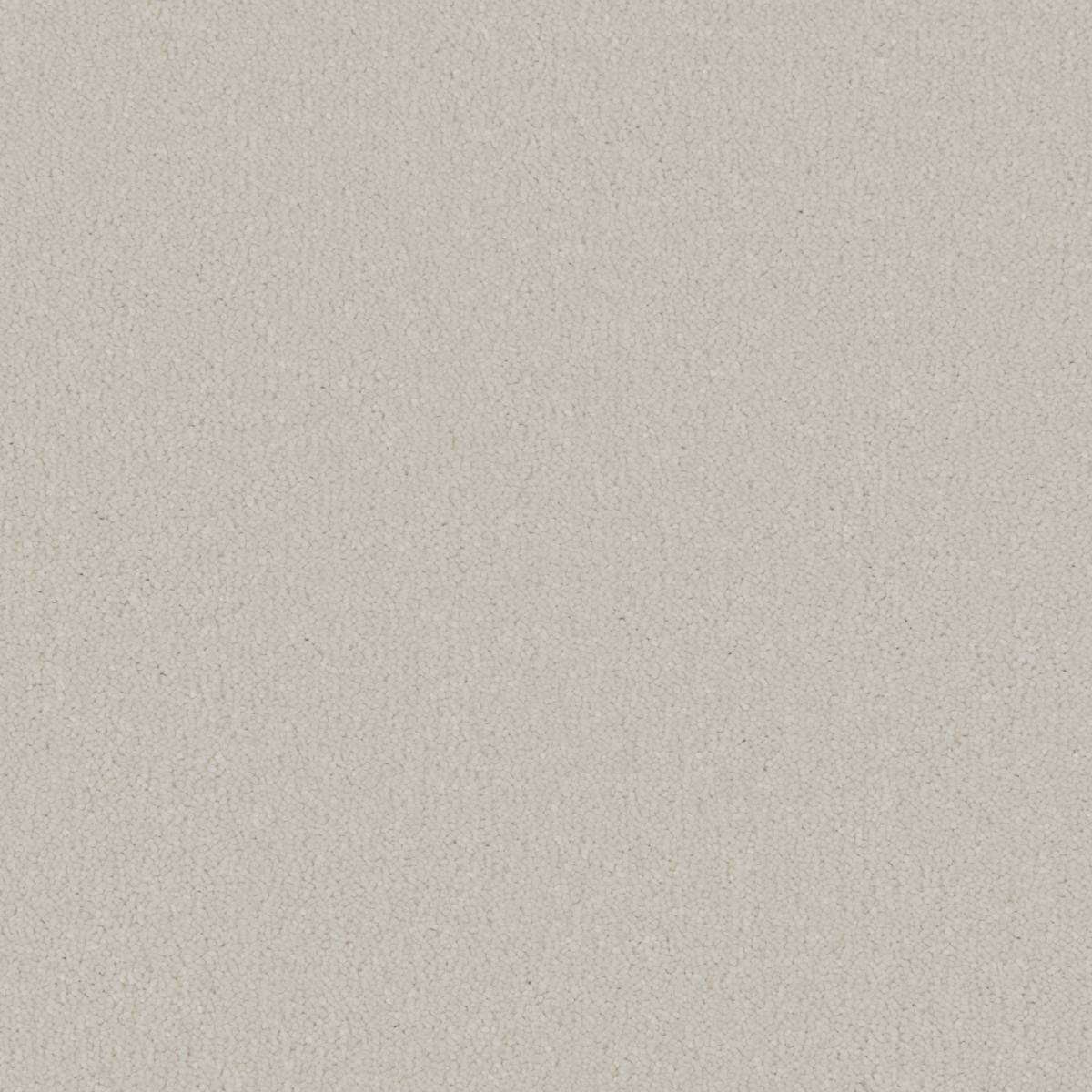 Serene Deep Pile Saxony Carpet - White Dove