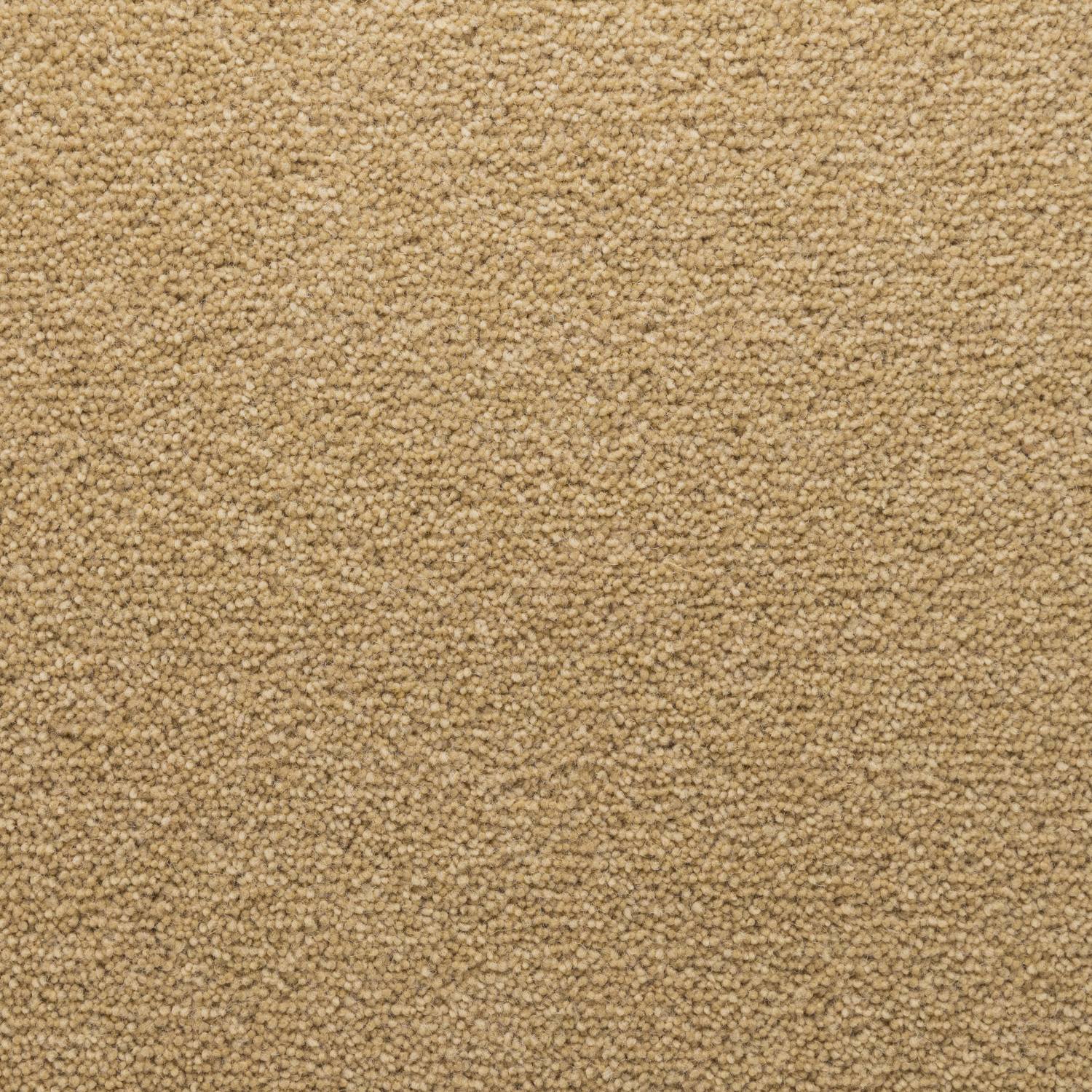 Stateside 40 Twist Wool Carpet - Vegas Stateside 40 Twist Wool Carpet - Vegas
