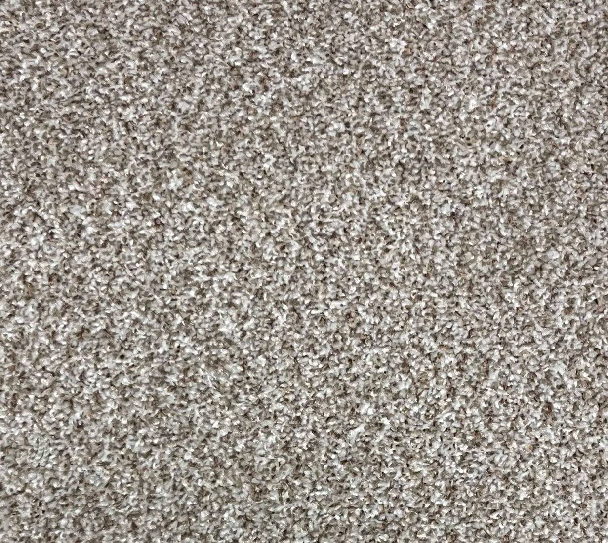 Argyle Tweed Carpet - 4838 Dark Beige