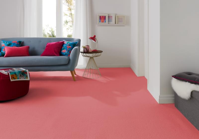 Firework Twist Carpet - Vibrant Firework Twist Carpet - Vibrant