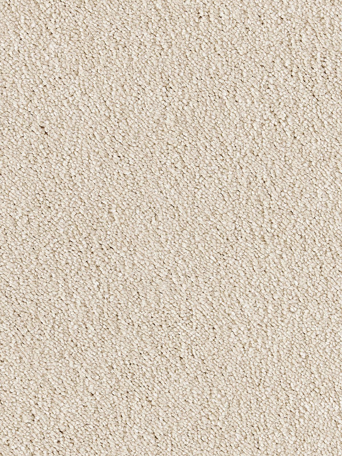 Bellelux Saxony Carpet - 240 Cream