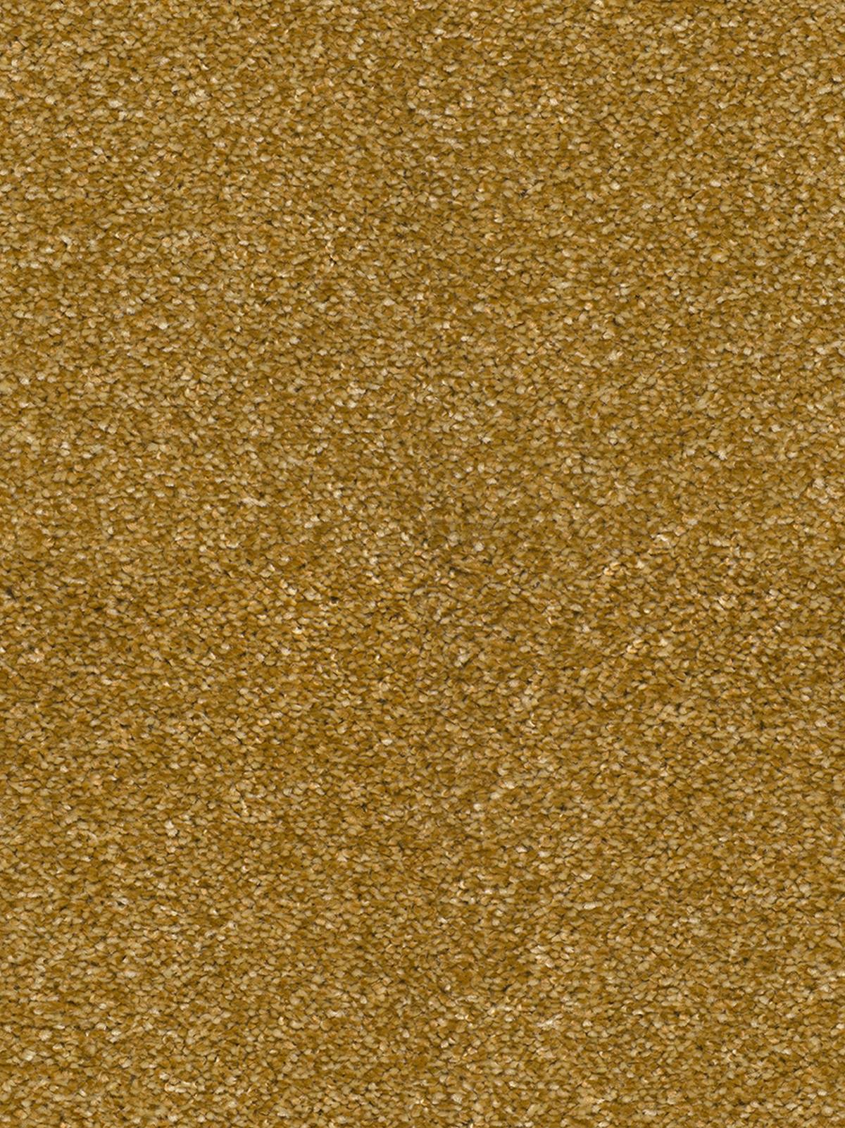 Bellelux Saxony Carpet - 370 Gold