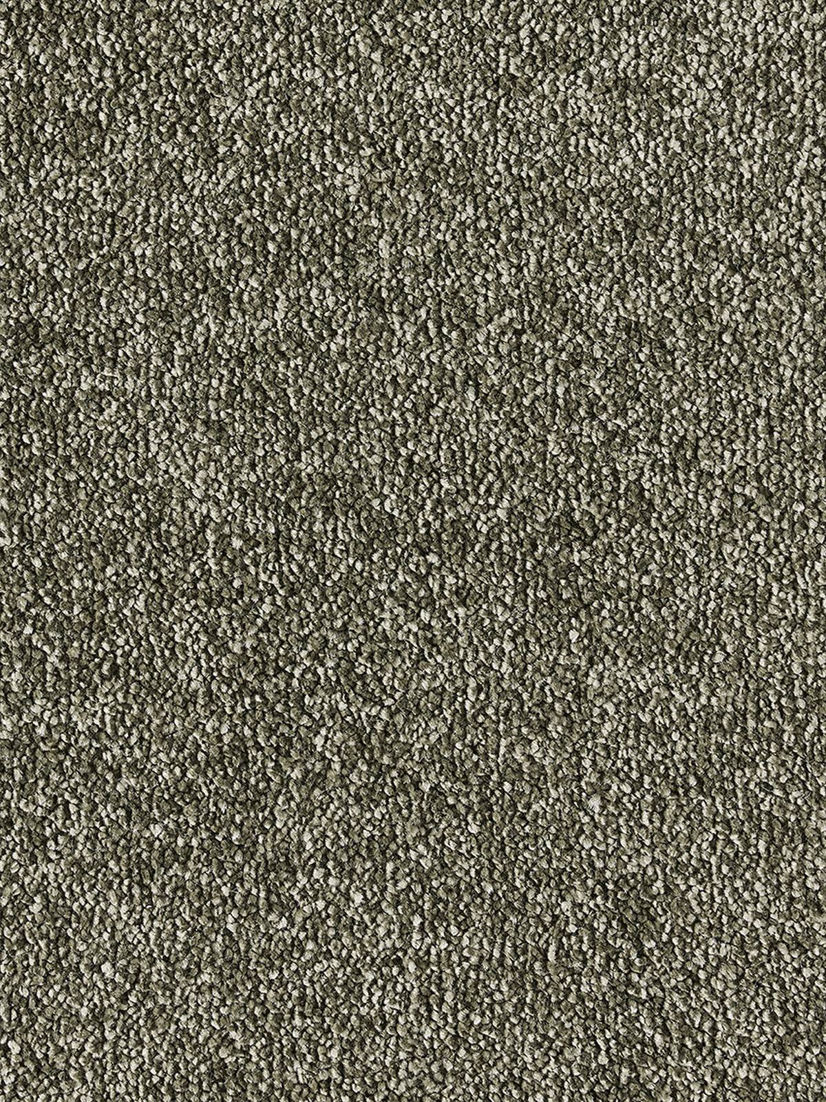 Bellelux Saxony Carpet - 490 Stone Path Bellelux Saxony Carpet - 490 Stone Path