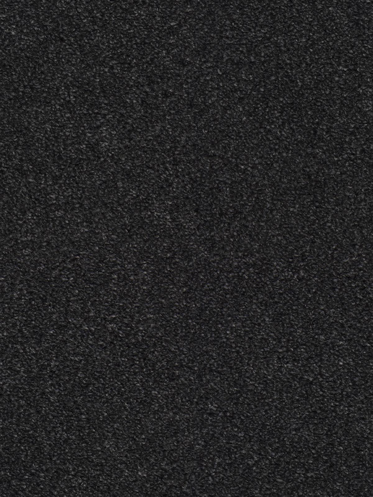 Bellelux Saxony Carpet - 801 Ebony Bellelux Saxony Carpet - 801 Ebony