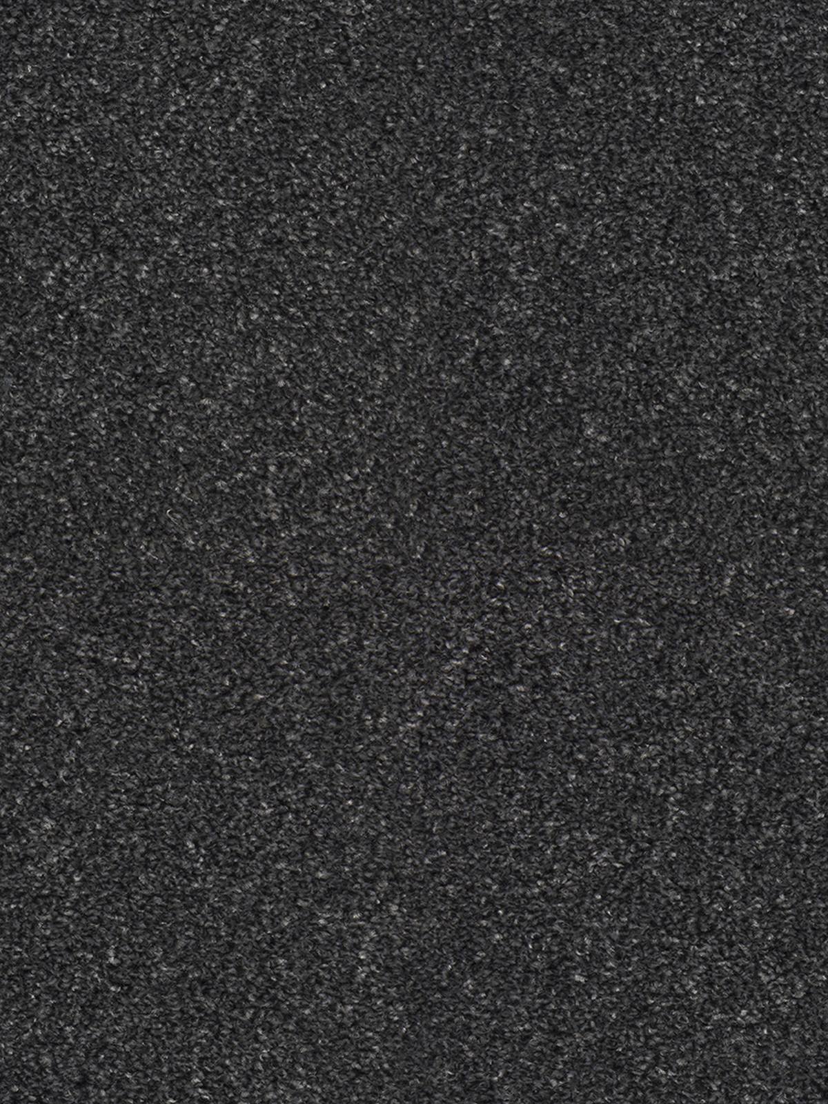 Bellelux Saxony Carpet - 811 Charcoal