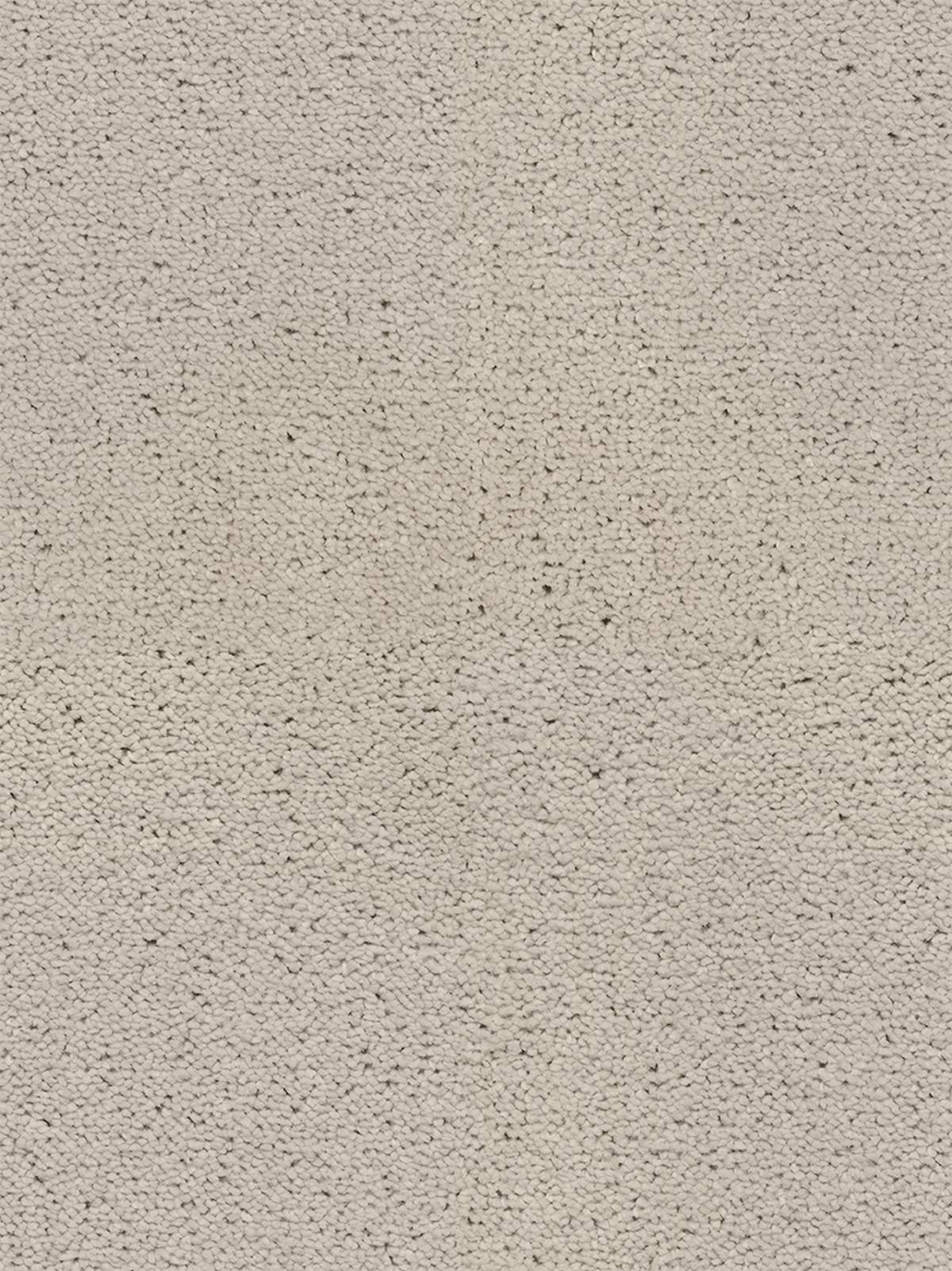 Bellelux Saxony Carpet - 890 Snow
