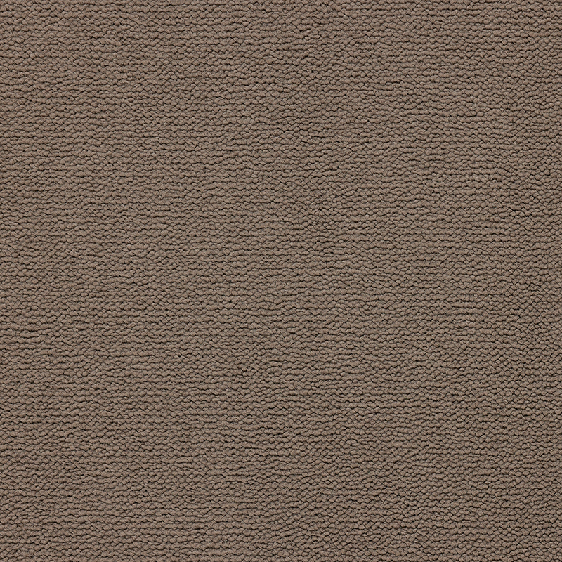 Beyond Saxony Carpet - Grounded Beyond Saxony Carpet - Grounded