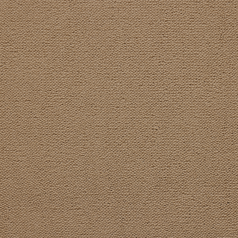 Beyond Saxony Carpet - Sanded Tone Beyond Saxony Carpet - Sanded Tone