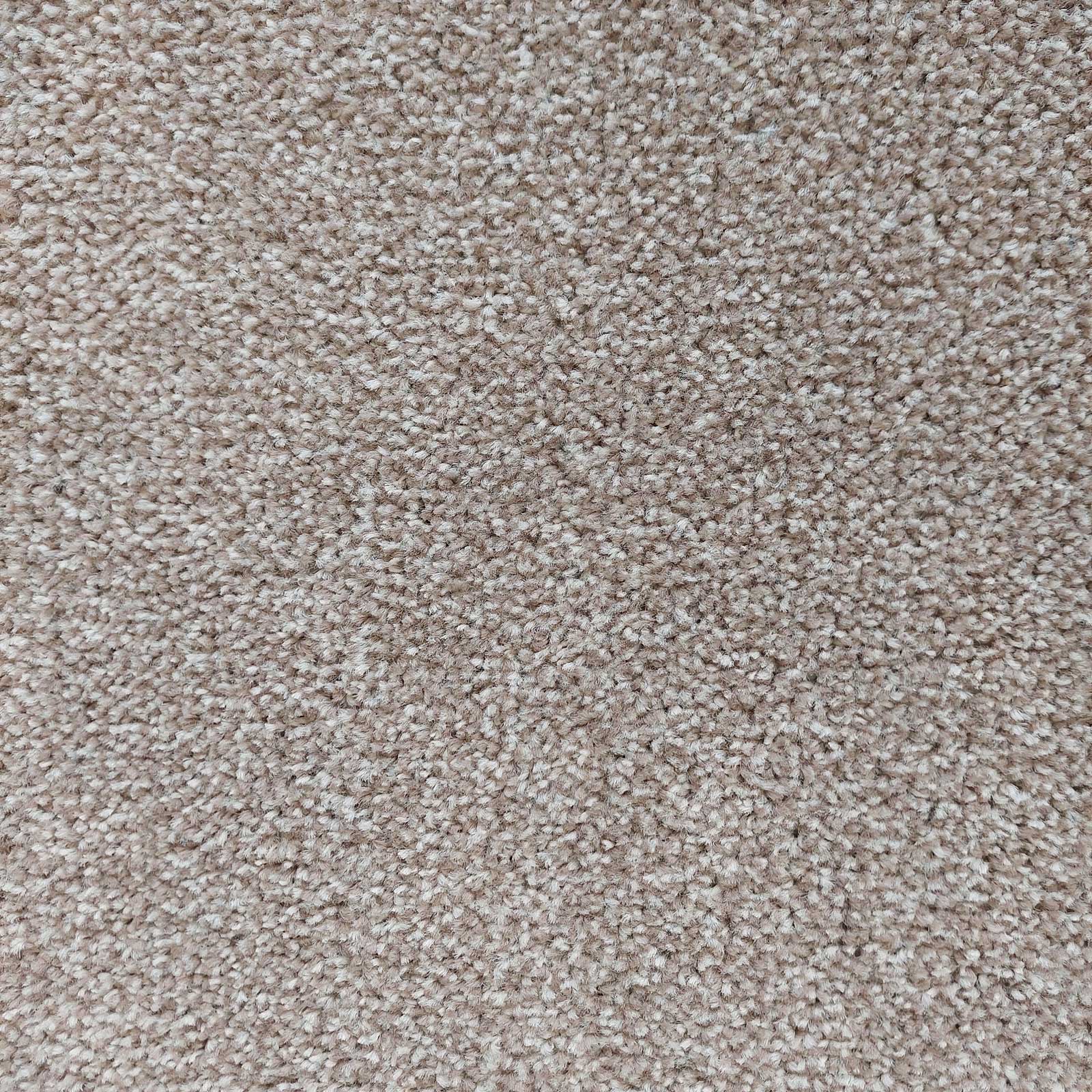Bounty Saxony Carpet - Beige 682