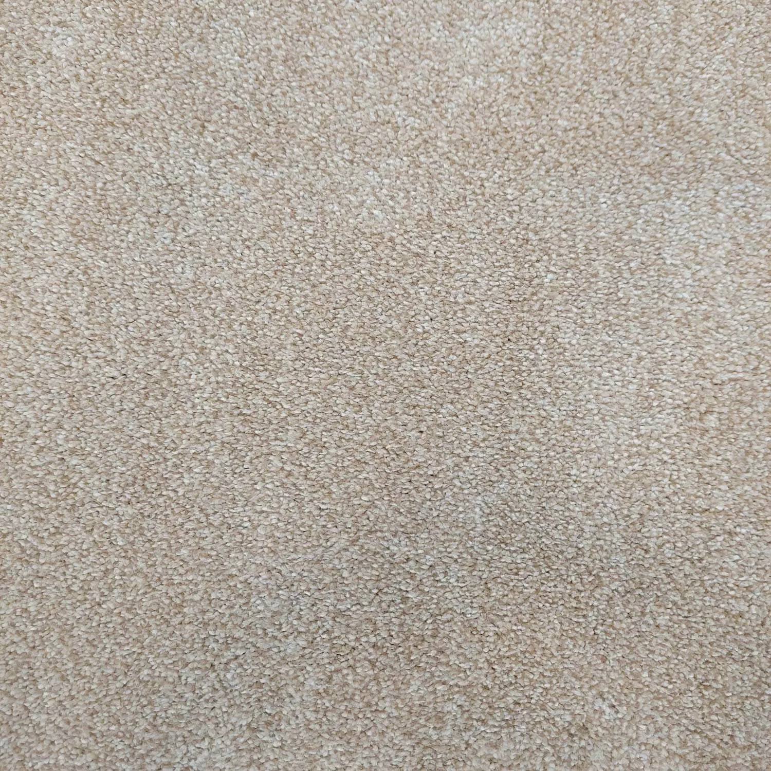 Caress Saxony Carpet - 672 Limestone