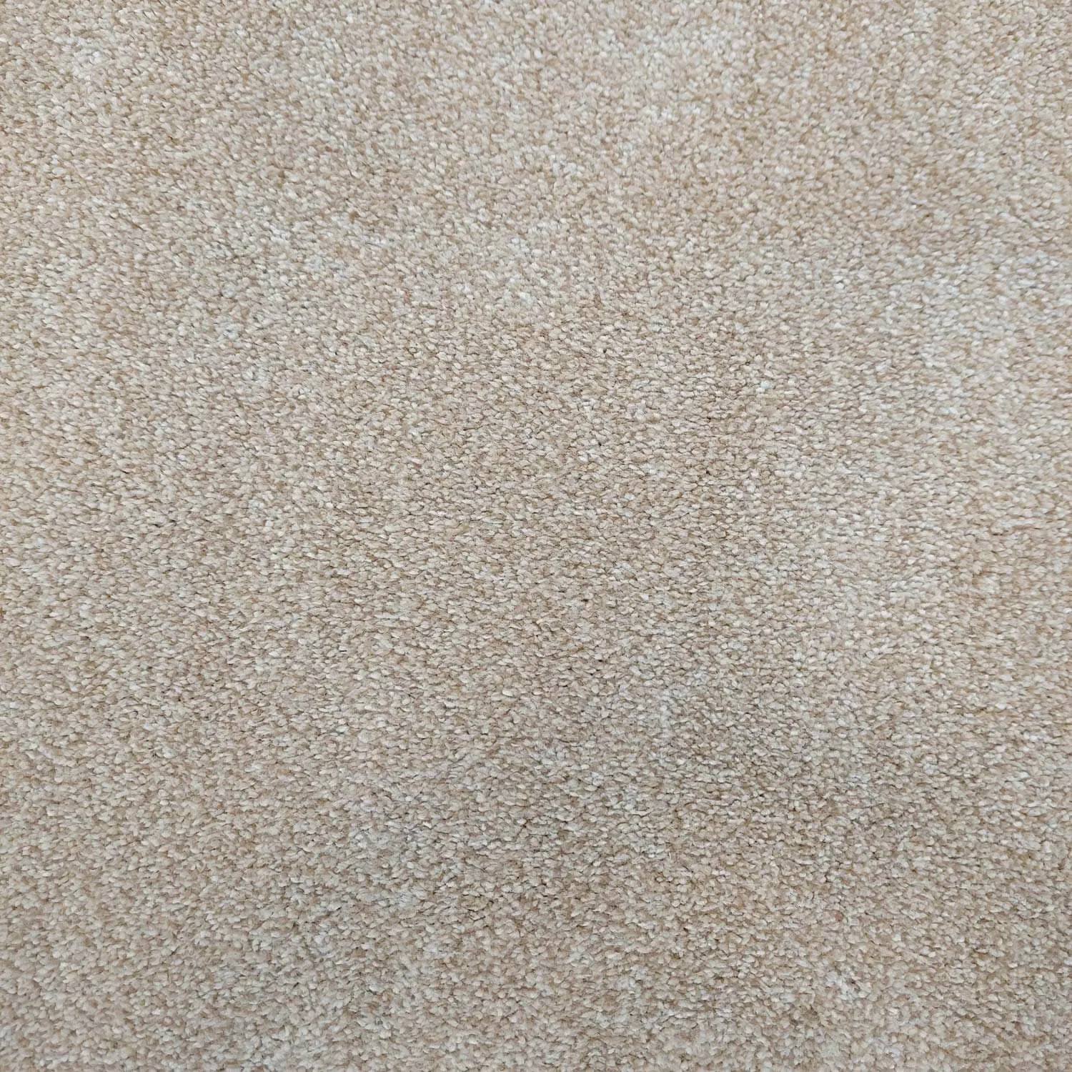 Caress Saxony Carpet - 672 Limestone Caress Saxony Carpet - 672 Limestone
