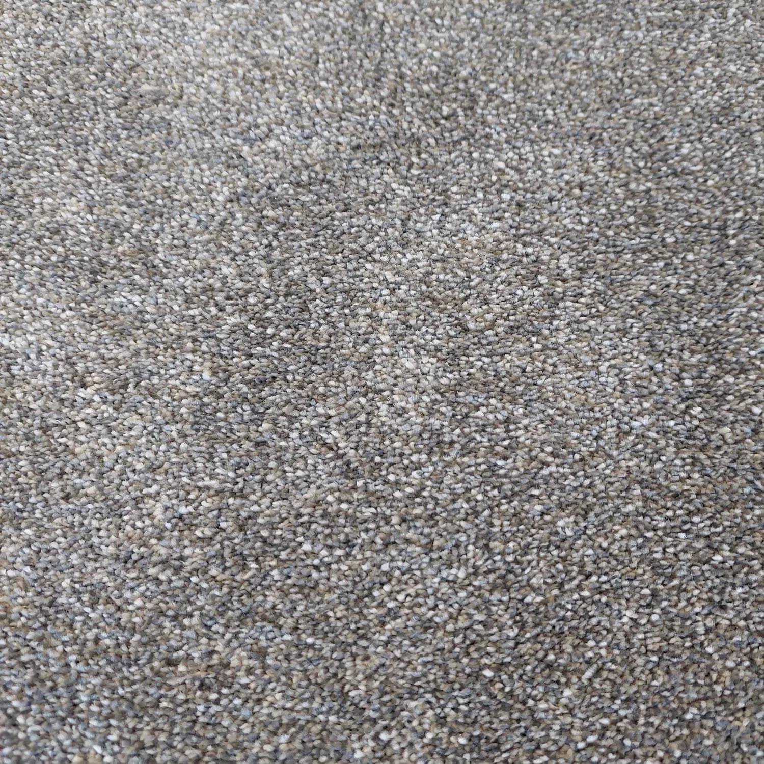 Caress Saxony Carpet - 673 Wolfhound