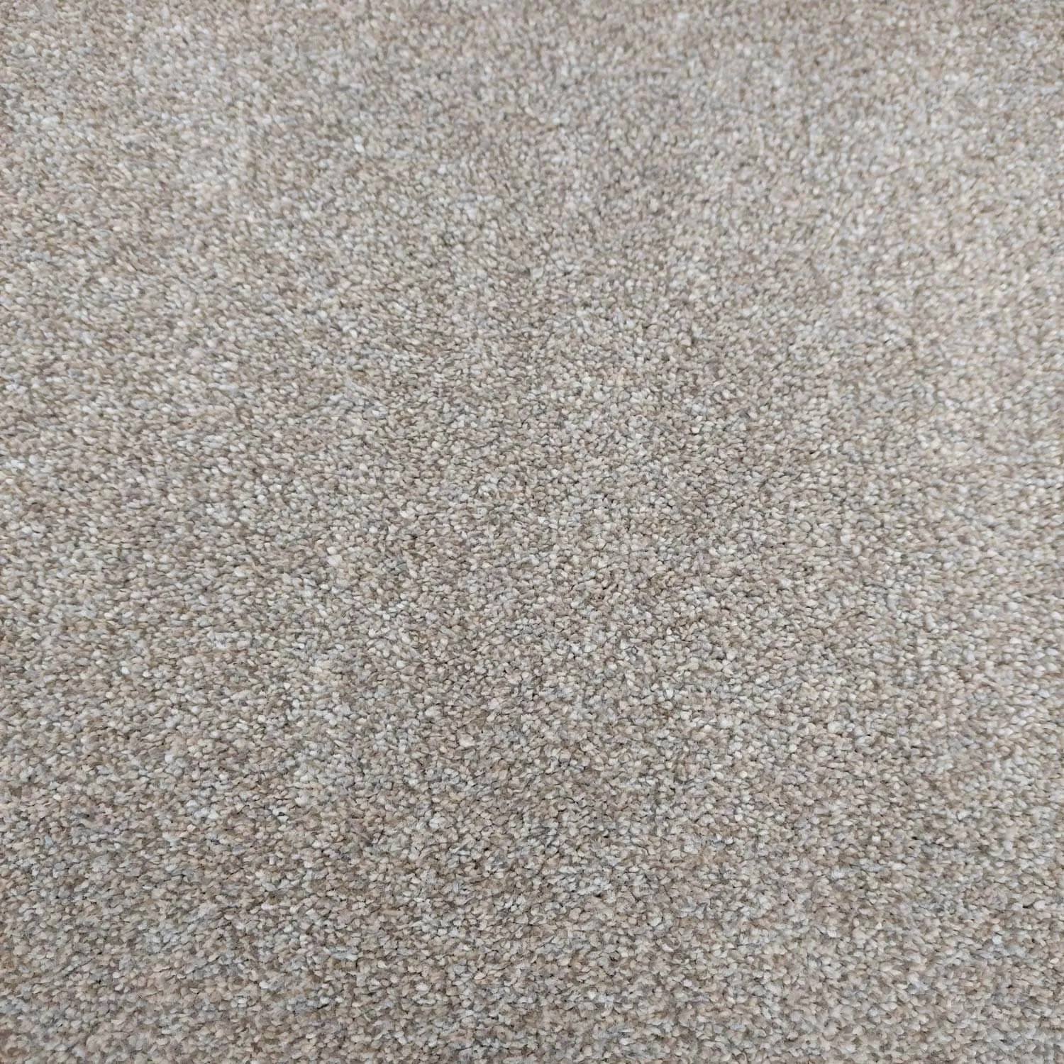 Caress Saxony Carpet - 674 French White