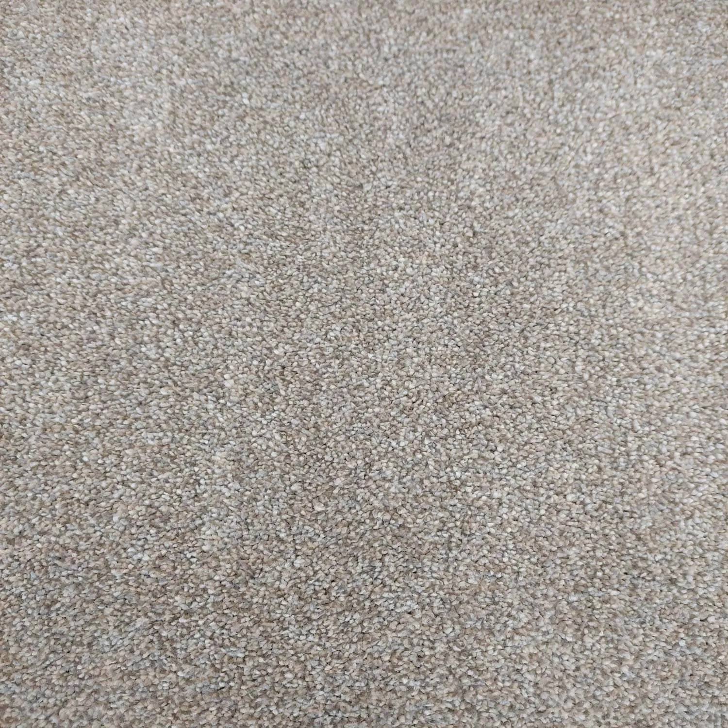 Caress Saxony Carpet - 674 French White Caress Saxony Carpet - 674 French White