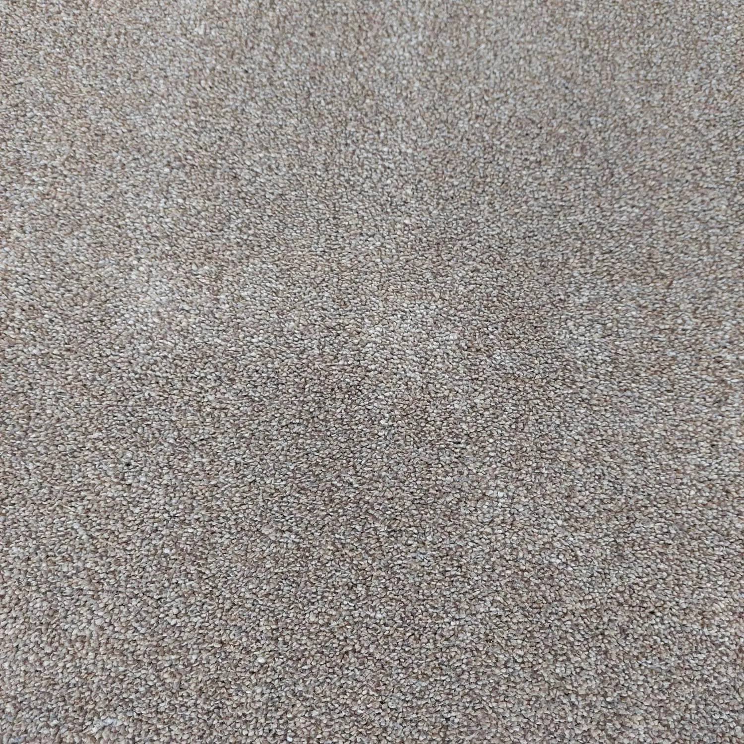 Caress Saxony Carpet - 693 Mushroom Caress Saxony Carpet - 693 Mushroom