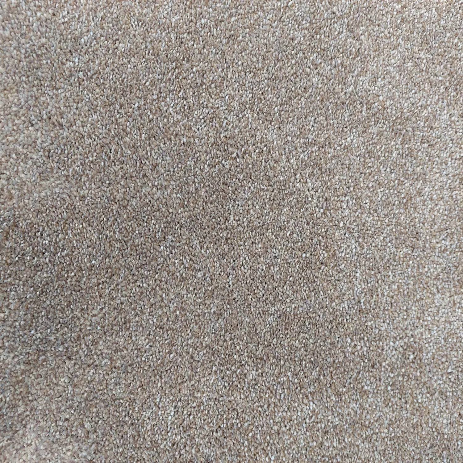 Caress Saxony Carpet - 694 Oyster Beige