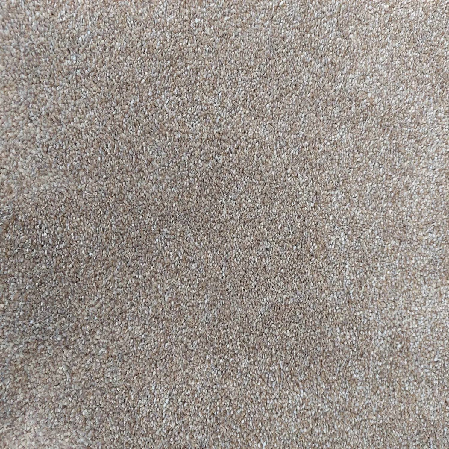 Caress Saxony Carpet - 694 Oyster Beige