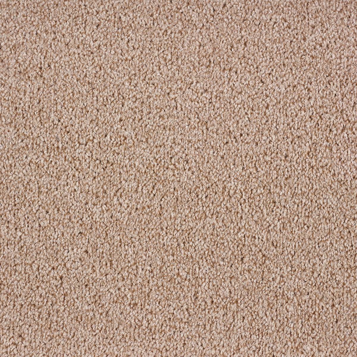 Dublin Twist Carpet - 33 Ivory