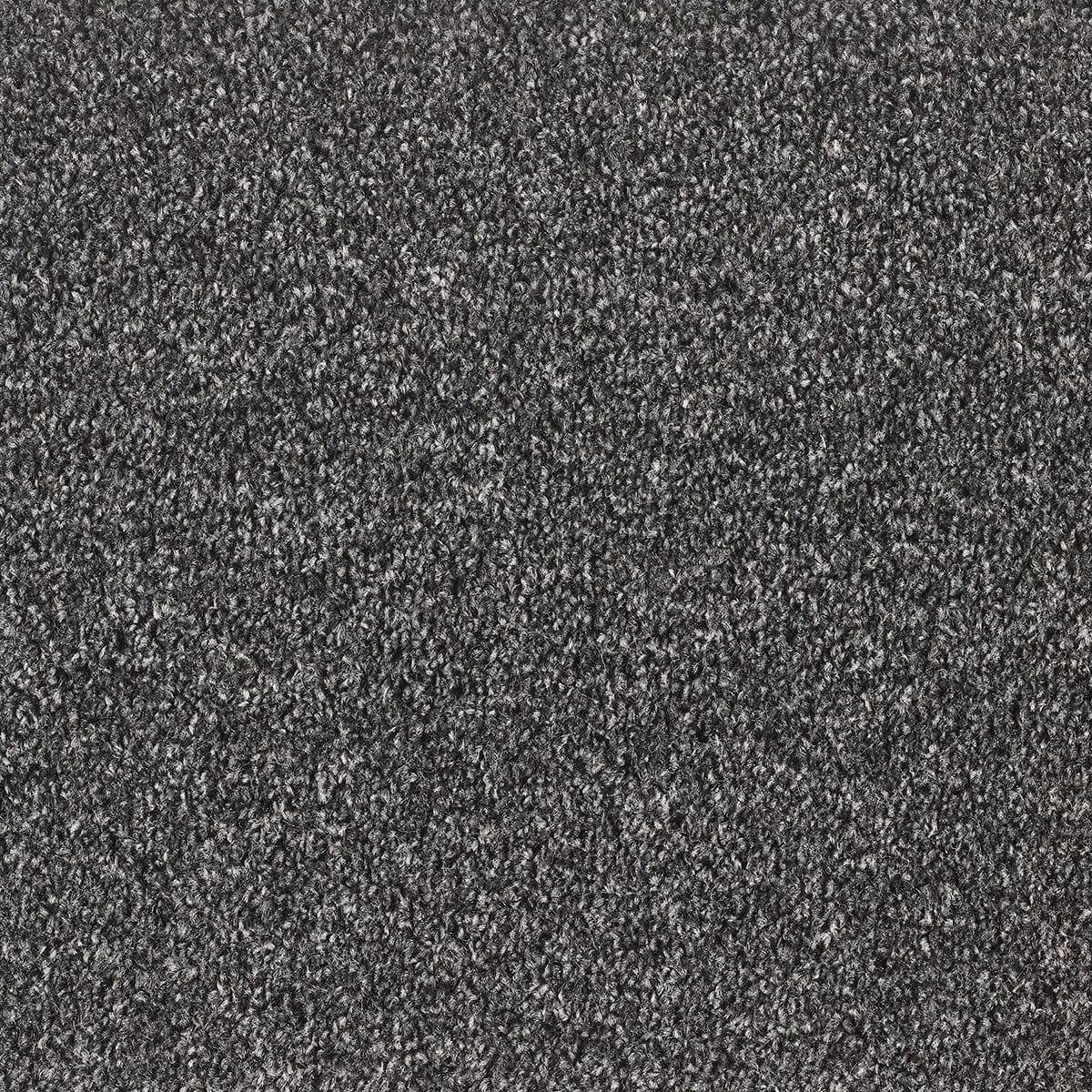 Dublin Twist Carpet - 98 Anthracite