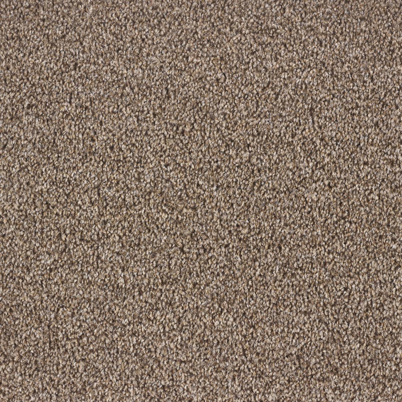 Dublin Twist Carpet - 42 Mink