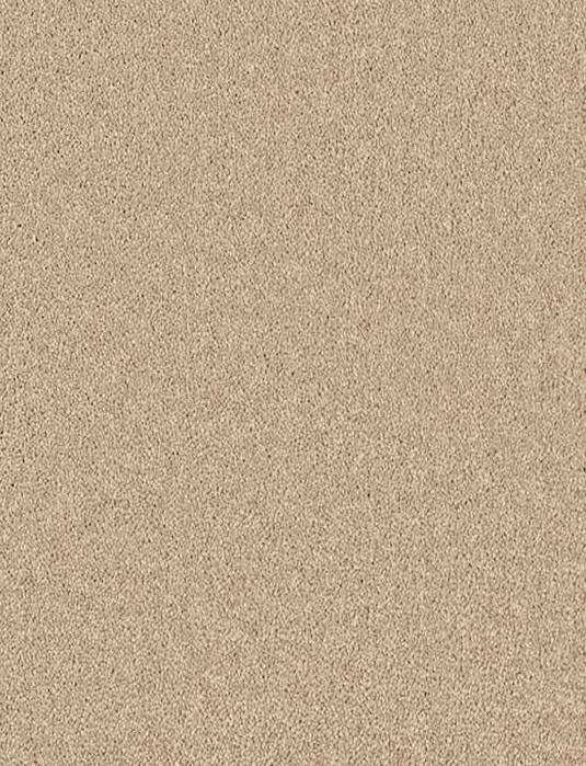 Enchantment Elite Soft Recycled Twist Carpet - 2070 Clouded Beige